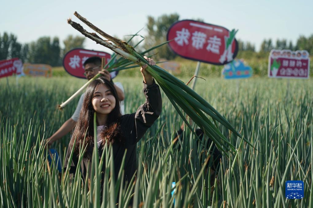 白菜现金网官方网站